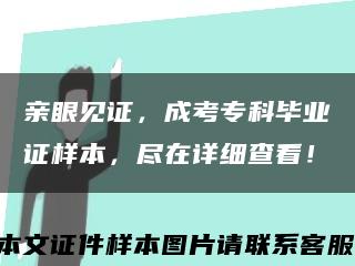 親眼見證，成考?？飘厴I證樣本，盡在詳細查看！縮略圖