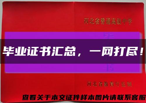 畢業證書匯總，一網打盡！縮略圖