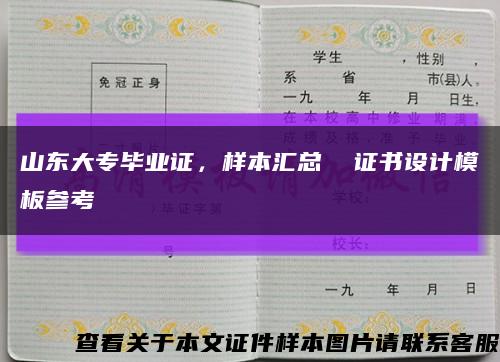 山東大專畢業證，樣本匯總  證書設計模板參考縮略圖