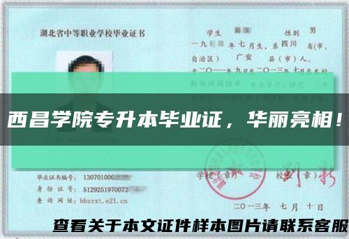 西昌學院專升本畢業證，華麗亮相！縮略圖
