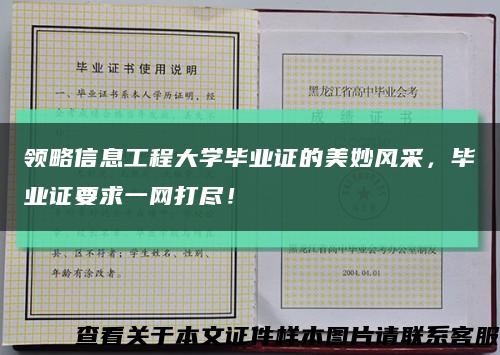 領略信息工程大學畢業證的美妙風采，畢業證要求一網打盡！縮略圖