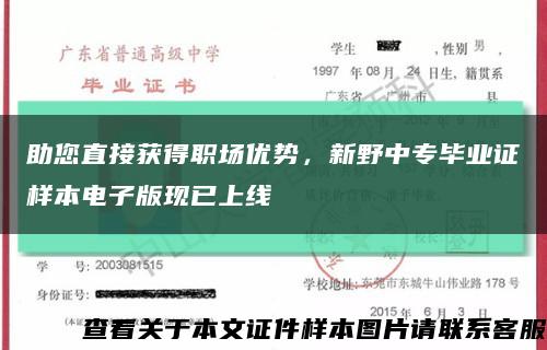 助您直接獲得職場優勢，新野中專畢業證樣本電子版現已上線縮略圖