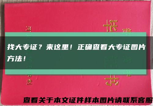 找大專證？來這里！正確查看大專證圖片方法！縮略圖