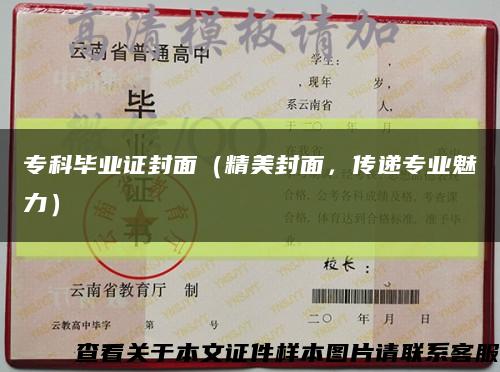 ?？飘厴I證封面（精美封面，傳遞專業魅力）縮略圖