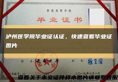 瀘州醫學院畢業證認證，快速查看畢業證圖片縮略圖