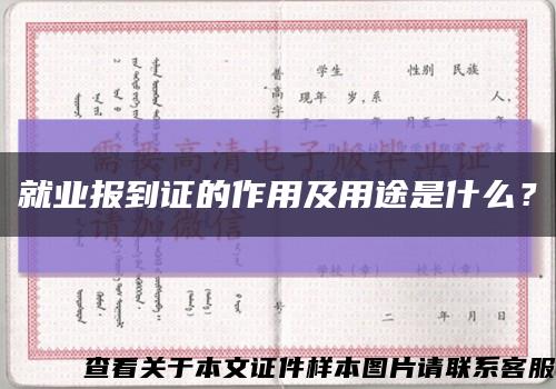 就業報到證的作用及用途是什么？縮略圖