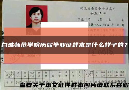 白城師范學院歷屆畢業證樣本是什么樣子的？縮略圖