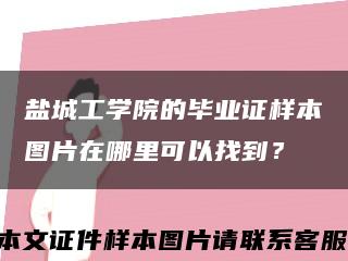 鹽城工學院的畢業證樣本圖片在哪里可以找到？縮略圖
