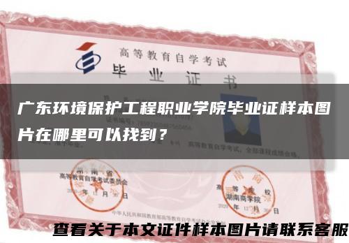 廣東環境保護工程職業學院畢業證樣本圖片在哪里可以找到？縮略圖