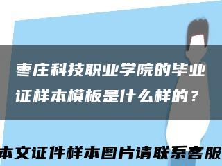棗莊科技職業學院的畢業證樣本模板是什么樣的？縮略圖