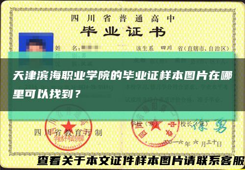 天津濱海職業學院的畢業證樣本圖片在哪里可以找到？縮略圖