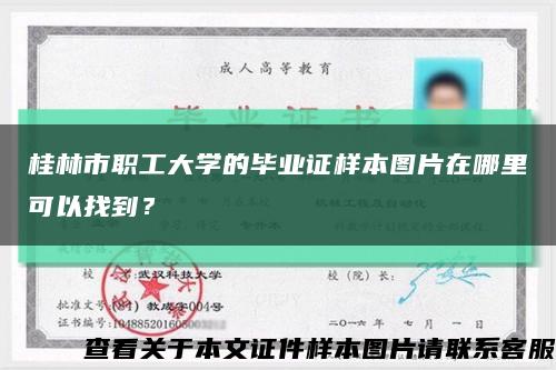 桂林市職工大學的畢業證樣本圖片在哪里可以找到？縮略圖