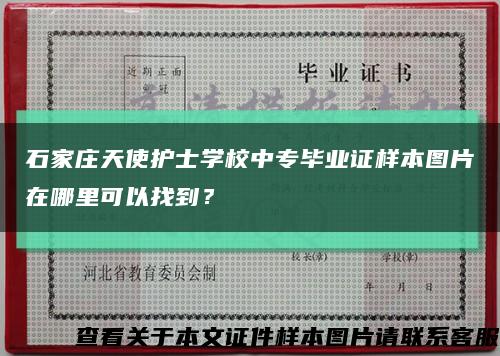 石家莊天使護士學校中專畢業證樣本圖片在哪里可以找到？縮略圖