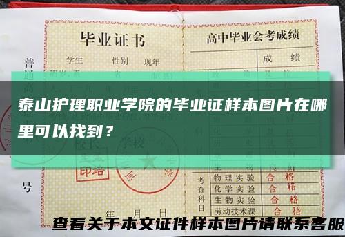 泰山護理職業學院的畢業證樣本圖片在哪里可以找到？縮略圖