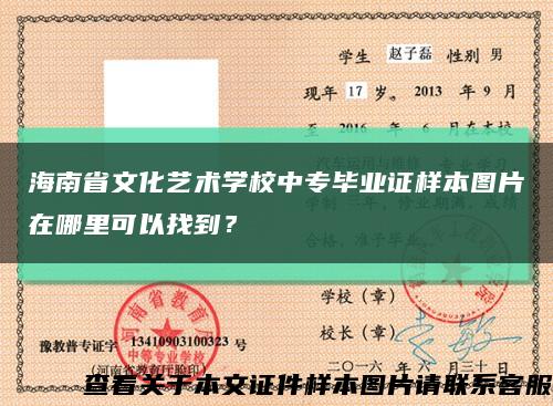 海南省文化藝術學校中專畢業證樣本圖片在哪里可以找到？縮略圖