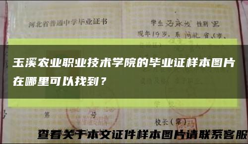 玉溪農業職業技術學院的畢業證樣本圖片在哪里可以找到？縮略圖