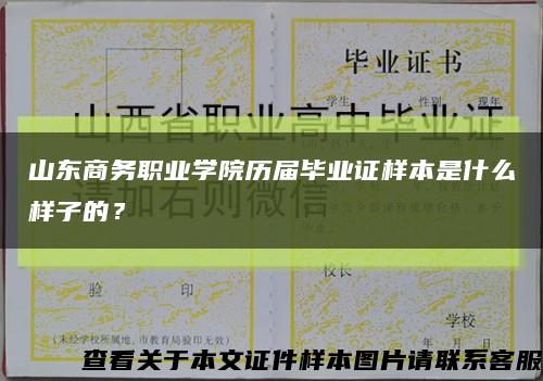 山東商務職業學院歷屆畢業證樣本是什么樣子的？縮略圖
