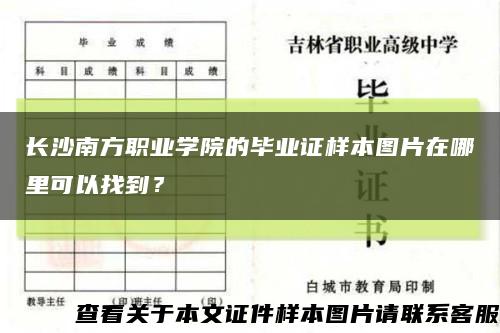 長沙南方職業學院的畢業證樣本圖片在哪里可以找到？縮略圖