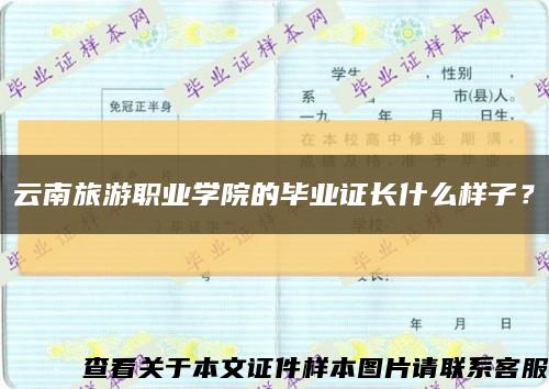 云南旅游職業學院的畢業證長什么樣子？縮略圖