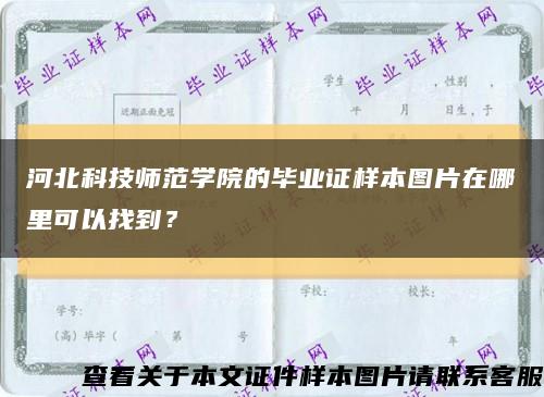 河北科技師范學院的畢業證樣本圖片在哪里可以找到？縮略圖