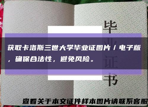 獲取卡洛斯三世大學畢業證圖片／電子版，確保合法性，避免風險?？s略圖