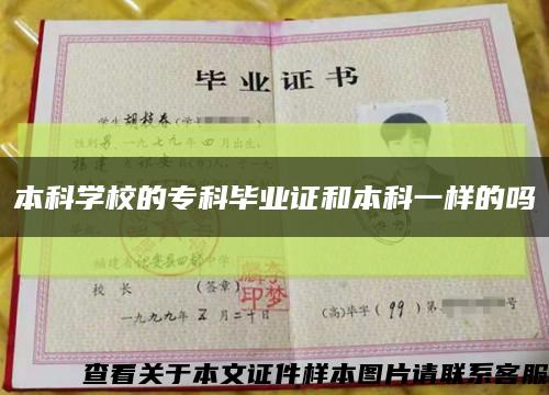 本科學校的?？飘厴I證和本科一樣的嗎縮略圖
