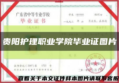 貴陽護理職業學院畢業證圖片縮略圖