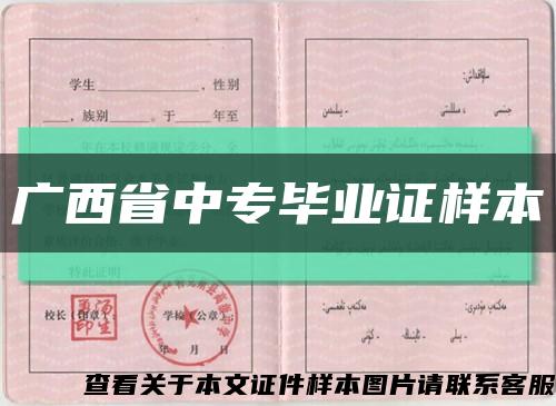 廣西省中專畢業證樣本縮略圖