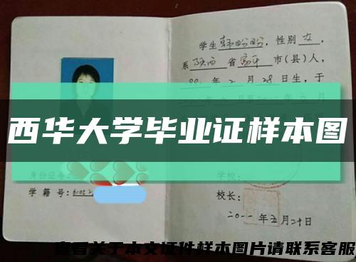 西華大學畢業證樣本圖縮略圖