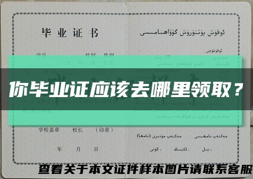 你畢業證應該去哪里領??？縮略圖