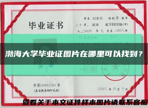 渤海大學畢業證圖片在哪里可以找到？縮略圖