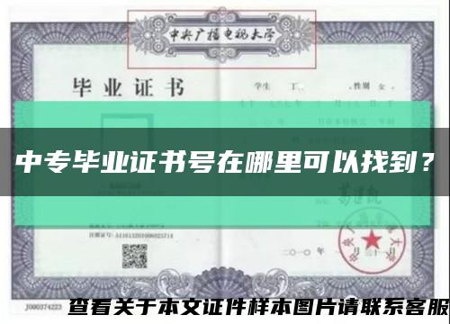 中專畢業證書號在哪里可以找到？縮略圖