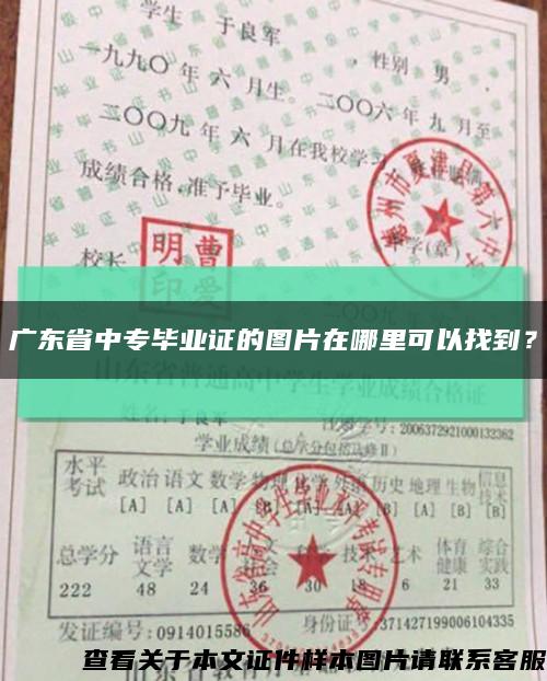 廣東省中專畢業證的圖片在哪里可以找到？縮略圖
