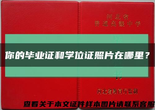 你的畢業證和學位證照片在哪里？縮略圖