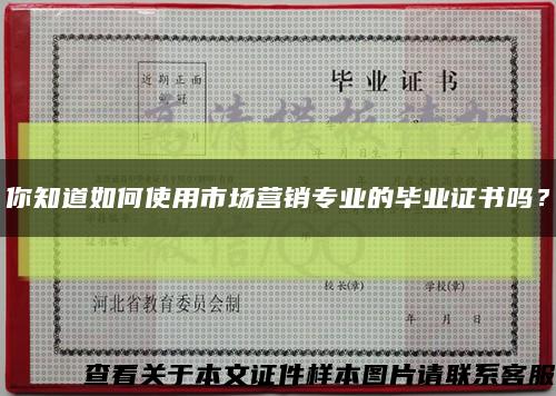 你知道如何使用市場營銷專業的畢業證書嗎？縮略圖