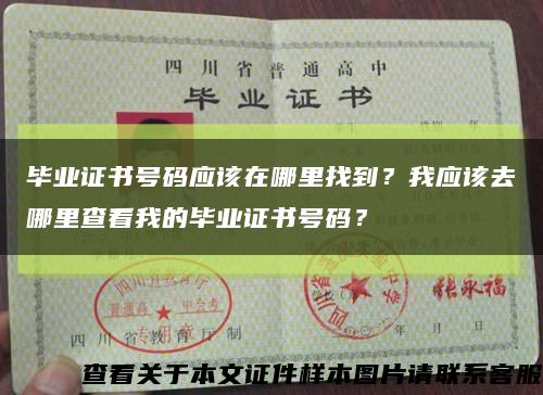 畢業證書號碼應該在哪里找到？我應該去哪里查看我的畢業證書號碼？縮略圖