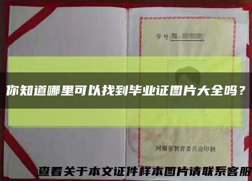 你知道哪里可以找到畢業證圖片大全嗎？縮略圖