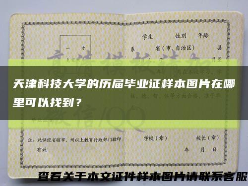 天津科技大學的歷屆畢業證樣本圖片在哪里可以找到？縮略圖