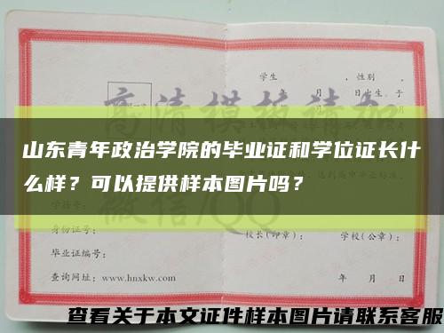 山東青年政治學院的畢業證和學位證長什么樣？可以提供樣本圖片嗎？縮略圖