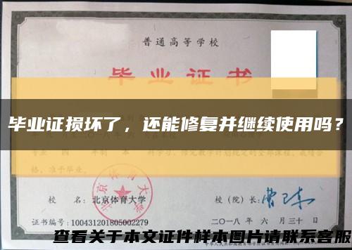 畢業證損壞了，還能修復并繼續使用嗎？縮略圖