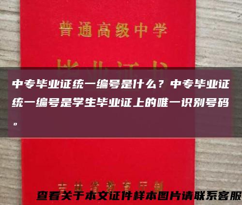 中專畢業證統一編號是什么？中專畢業證統一編號是學生畢業證上的唯一識別號碼?？s略圖
