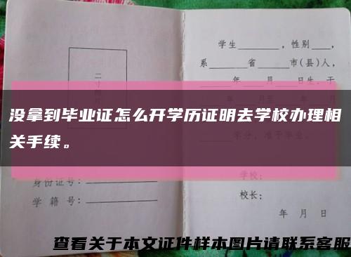沒拿到畢業證怎么開學歷證明去學校辦理相關手續?？s略圖