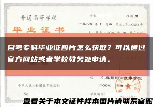 自考?？飘厴I證圖片怎么獲??？可以通過官方網站或者學校教務處申請?？s略圖
