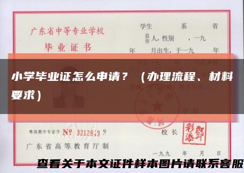小學畢業證怎么申請？（辦理流程、材料要求）縮略圖