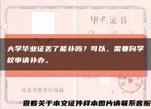 大學畢業證丟了能補嗎？可以，需要向學校申請補辦?？s略圖
