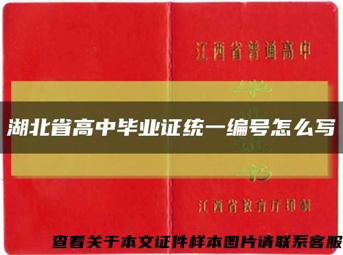 湖北省高中畢業證統一編號怎么寫縮略圖