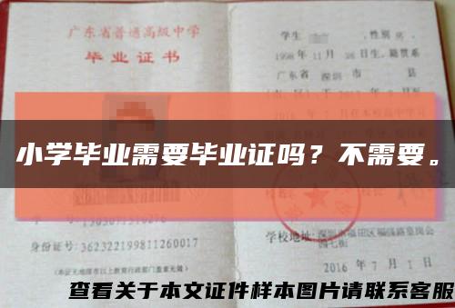 小學畢業需要畢業證嗎？不需要?？s略圖