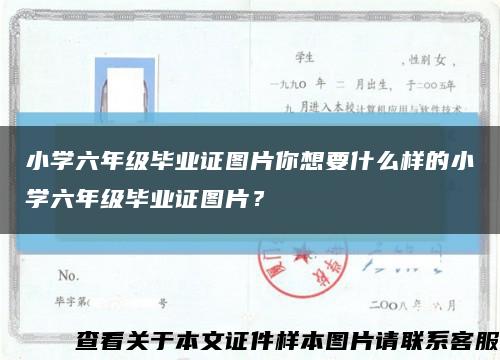 小學六年級畢業證圖片你想要什么樣的小學六年級畢業證圖片？縮略圖