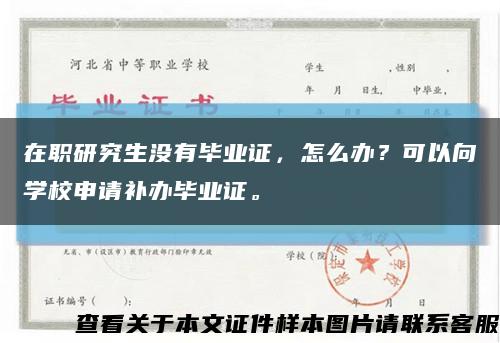 在職研究生沒有畢業證，怎么辦？可以向學校申請補辦畢業證?？s略圖