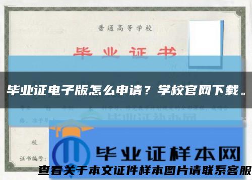 畢業證電子版怎么申請？學校官網下載?？s略圖